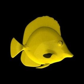 Yellow Tang Fish 3d model