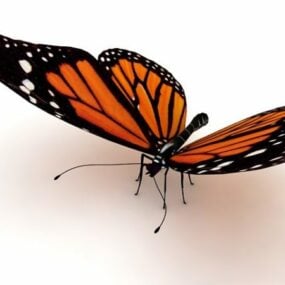 Gelbes und schwarzes Schmetterlingstier-3D-Modell