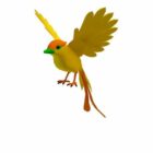 Yellow Oriole Bird Animal