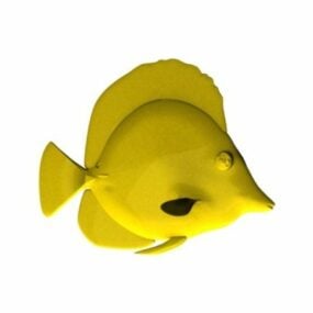 Yellow Tang Saltwater Fish 3d model