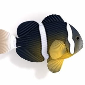 Mô hình 3d cá hề đuôi vàng