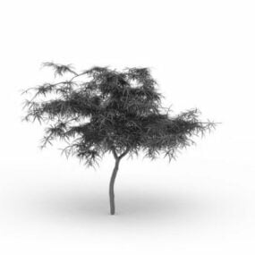 Young Tree 3d model