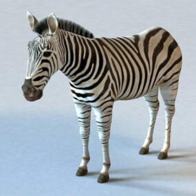Animal zèbre modèle 3D