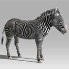 Zebra Rig＆Animated