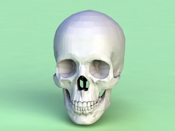 Человеческий череп