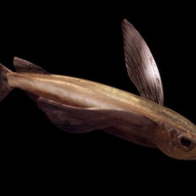 สัตว์ Parexocoetus ปลาบินแบบจำลอง 3 มิติ