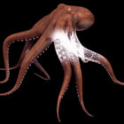 Dierlijke gewone octopus