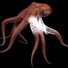 Model 3d Octopus Biasa Haiwan