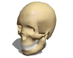 Kreslená lidská lebka barevné dekorativní 3d model