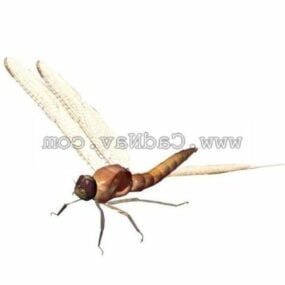 Dragonfly Animal 3d-model