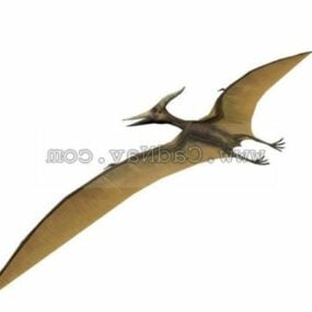 Pteranodon Dinosaur Animal 3d model