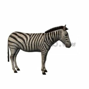 3д модель животного зебры диких равнин