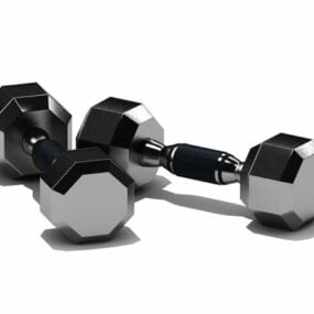 Fitness Fixed Weight Dumbbells 3d model