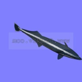 पशु शार्क 3डी मॉडल