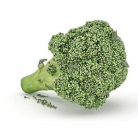 Calabrese Broccoli Vegetable 3d model