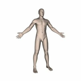 Mannequin masculin de base modèle 3D
