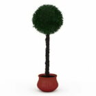 Potted Topiary Plant