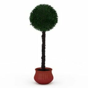 Potted Topiary Plant 3d model