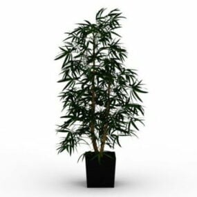 Model 3d Pohon Bambu Pot
