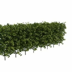 Plantas de seto de boj de jardín modelo 3d
