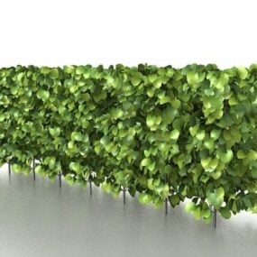 Box Hedge Garden Plants 3d model