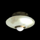 Semi Flush Home Ceiling Light