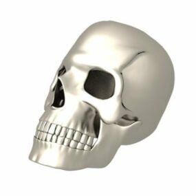 Realistic Human Man Skull 3d model