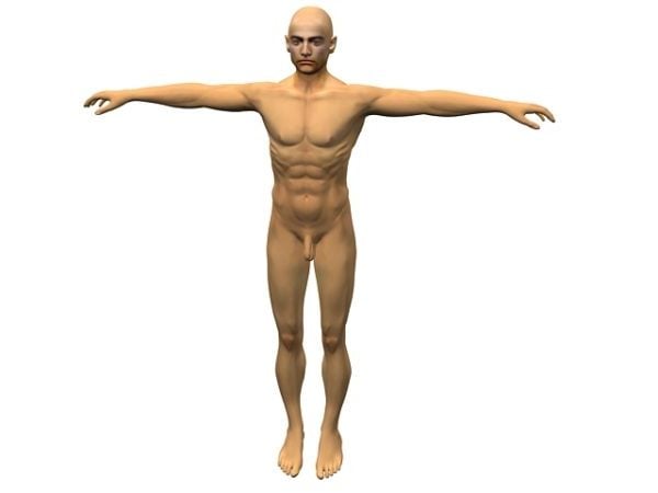 Aikuisen miehen kehon anatomia
