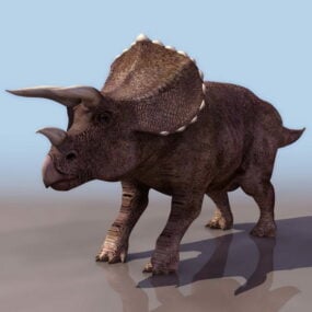Dospělé zvíře Triceratop 3D model