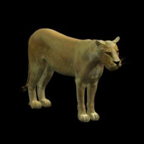पशु अफ़्रीकी शेरनी 3डी मॉडल