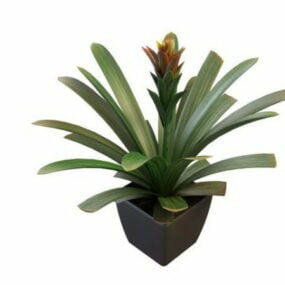 Home Potted Agave Plant 3d model