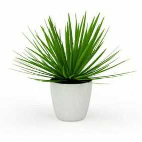 Indoor Potted Aloe Vera Plant 3d model