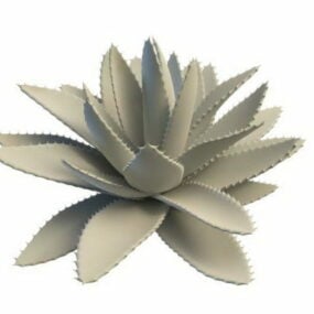 3D model rostliny Aloe Vera