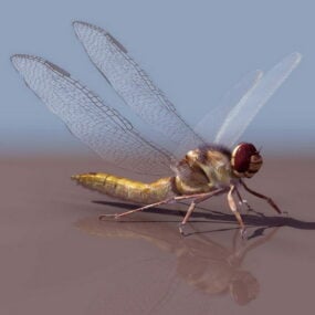 Animation Dragonfly Lowpoly 3D-modell