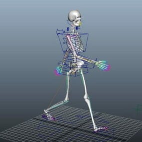 Animeret kvindelig skelet Rigged 3d model