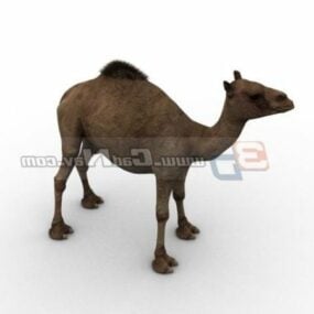 3д модель животного арабского верблюда