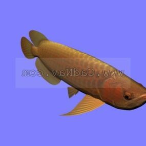Animal Asia Arowana Fish 3D-Modell