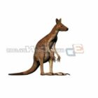 Животное австралийский кенгуру
