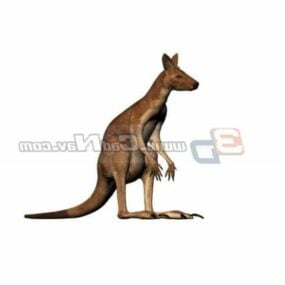 דגם תלת מימד של קנגורו בעלי חיים אוסטרלי