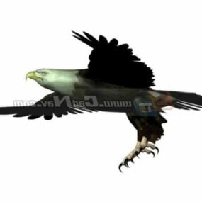 Mô hình 3d đại bàng hói động vật Haliaeetus