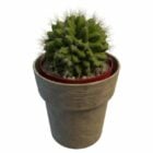 Vaso per fioriera cactus