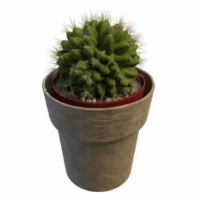 Model 3D Tanduran Tanduran Kaktus