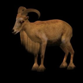 Mouflon de Barbarie sauvage modèle 3D
