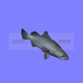 דגם תלת מימד של חיית הים Barramundi Fish