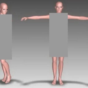 3D-Modell eines weiblichen Körpercharakters