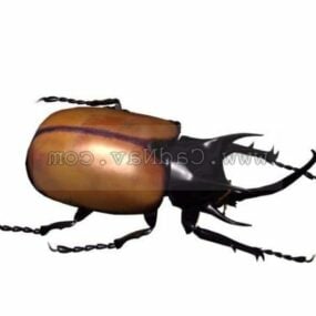Model 3d Hewan Kumbang Beatle