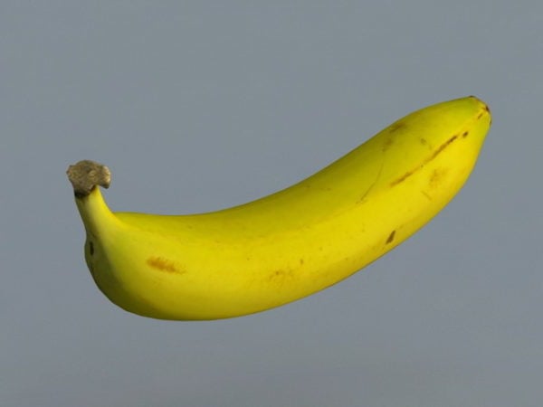 אוכל בננה גדולה
