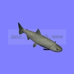 Sea Animal Black Kokanee 3d model