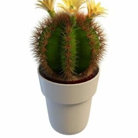 Múnla 3d Gléasra Dhíon Blooming Cactus