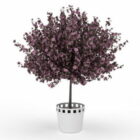 屋内咲く紫の植物ポット